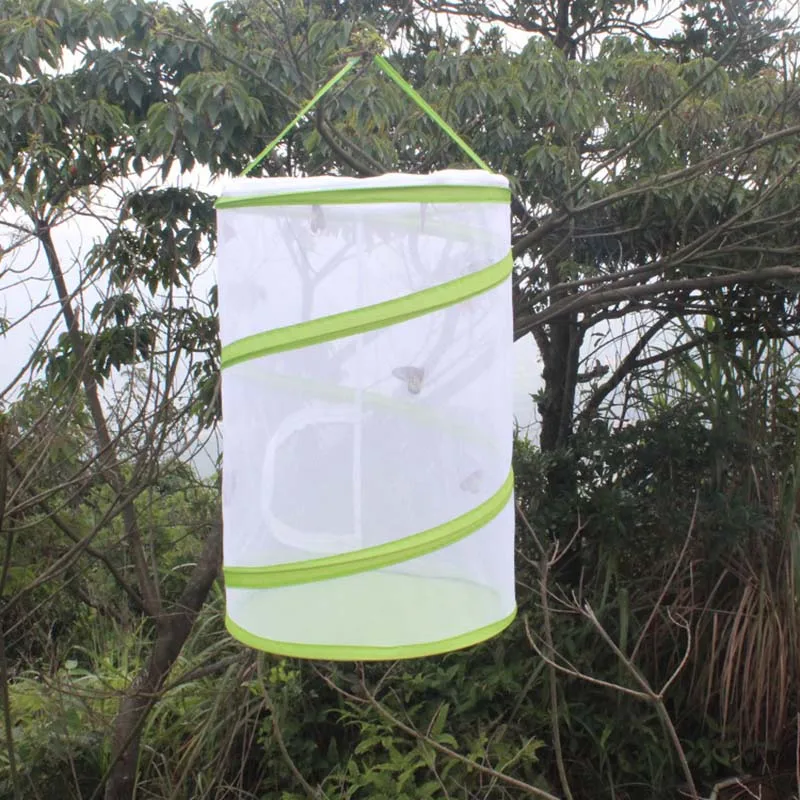 

Large Butterfly Habitat Pop-up Giant Butterfly Pavilion Cage Collapsible Insect Terrarium Best Price