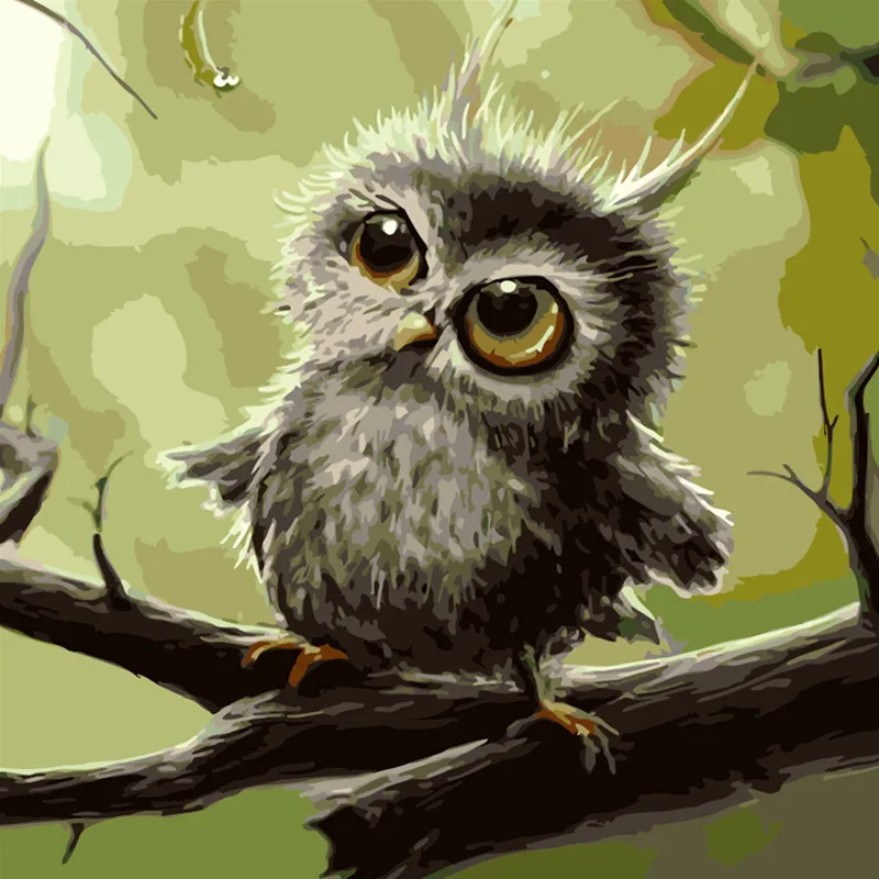 

Naughty owl Animal DIY Digital Painting By Numbers Modern Wall Art Canvas Painting Unique Gift Home Decor40x50cm
