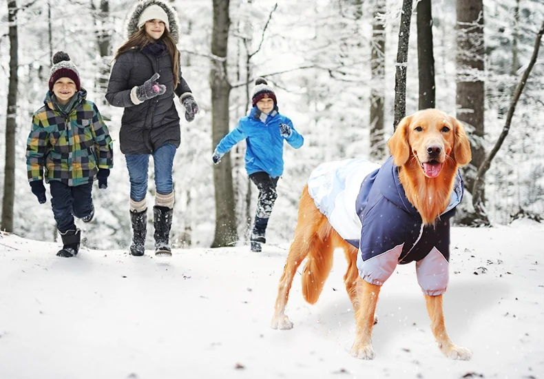 cães roxo quente algodão-acolchoado dois pés roupas