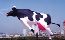 Vaca macio grandes animais infláveis aire bra pipas de voar treinador pipa grande pipa nylon ripstop pipas profissional brinquedos