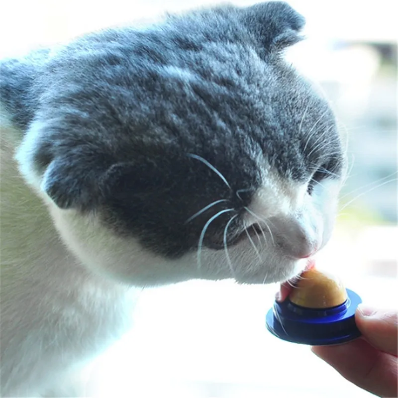 

Hot sale 2019 Snacks Catnip Ball Candy Licking Solid Nutrition Gel Energy Ball for Cats Increase Drinking Water Help Digestion