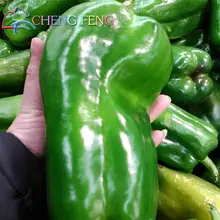 150pcs 16 Color Mixed Yellow Red Green White Mix Sweet Bell Hot Pepper Seeds Vegetables Paprika Seed * Home Garden Chilli Plants