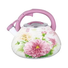 Чайник Чудесница ЭЧ-3503(Объем 3.5 л, нержавеющая сталь, подходит для всех типов плит