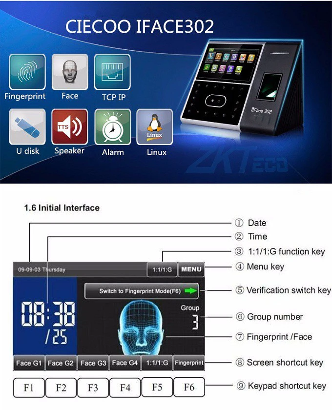 iface_302-21
