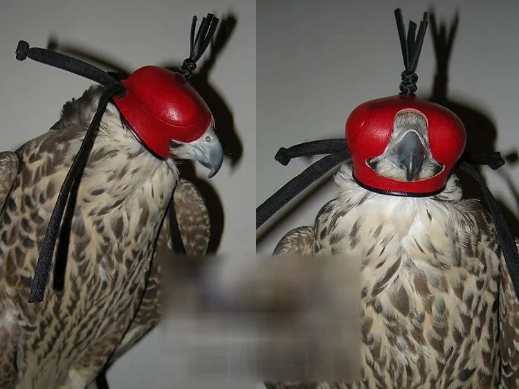 Красный головной убор из натуральной кожи Arabia повязка на глаза мигалки Falconry