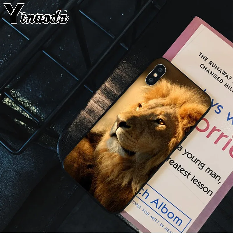 Animals The lion