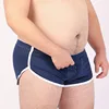 5 PCS/LOT New Arrival Male Mesh Underwear Men's Net Boxers Breathable Underpants Arrow Pants Shorts 6 Colors M L XL XXL XXXL 1
