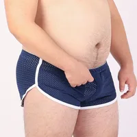 5 PCS/LOT New Arrival Male Mesh Underwear Men's Net Boxers Breathable Underpants Arrow Pants Shorts 6 Colors M L XL XXL XXXL 1