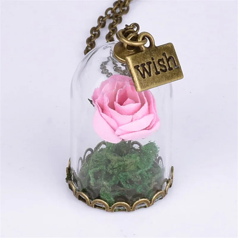 Винтажные Ювелирные изделия с бронзовым покрытием Маленький принц высушенный цветок розы стеклянный кулон в виде бутылочки желаний ожерелье для женщин вечерние