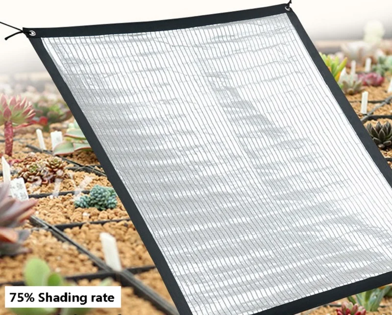 9463202484_2096214575