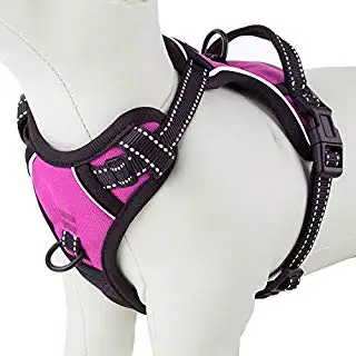 

No Pull Design Adjustable Dog Harness Reflective Safety Pet Harness and Leads