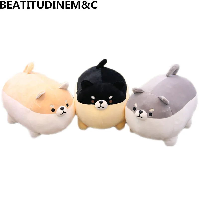shiba plush