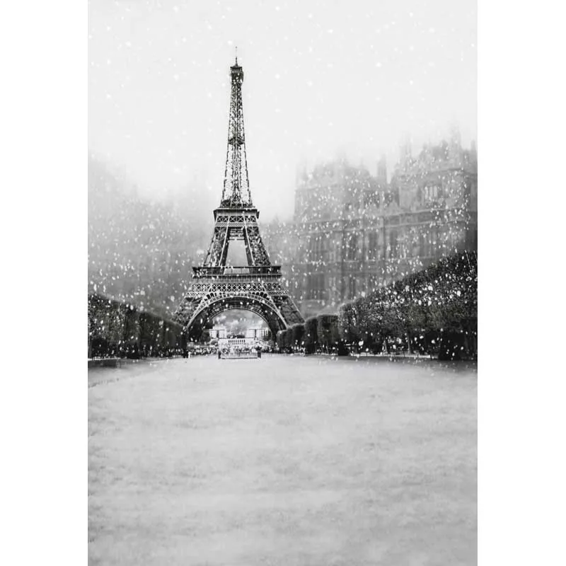 12ft Vinyl cloth Paris Eiffel Tower snow sceneryphotography backdrop for wedding photo studio portrait backgrounds photographic |