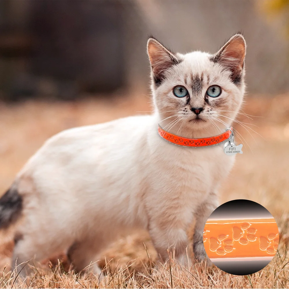 Индивидуальный светящийся ошейник для кошки, Колокольчик для кошки,, светящийся с гравировкой ID Tag Paw, ожерелье