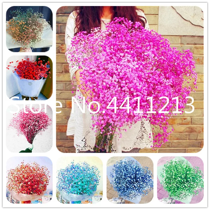 

Multi-Color Gypsophila Paniculata Flower, Perennial Garden Flower Bonsai Ornamental Flowers Bonsai Plant for Outdoor-100 Pcs