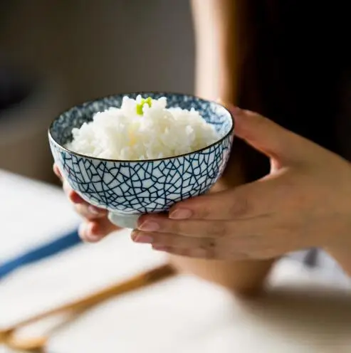Japanese style HENG FENG Ceramic Steamed Rice Bowl Sauce Dish Soup Bowl Fish Plate Porcelain Sushi Plate Tableware