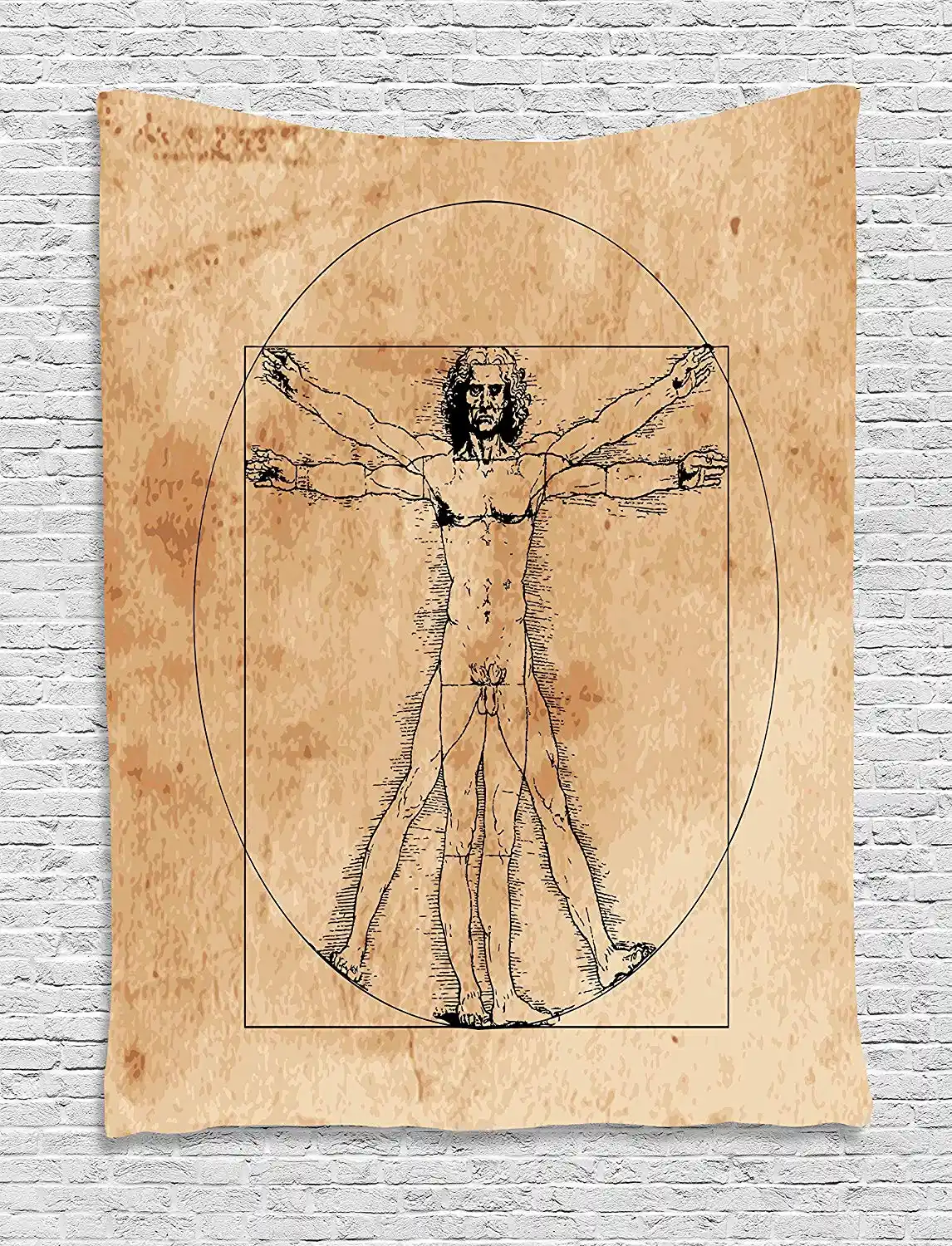 human anatomy tapestry medieval vitruvian man crosshatching