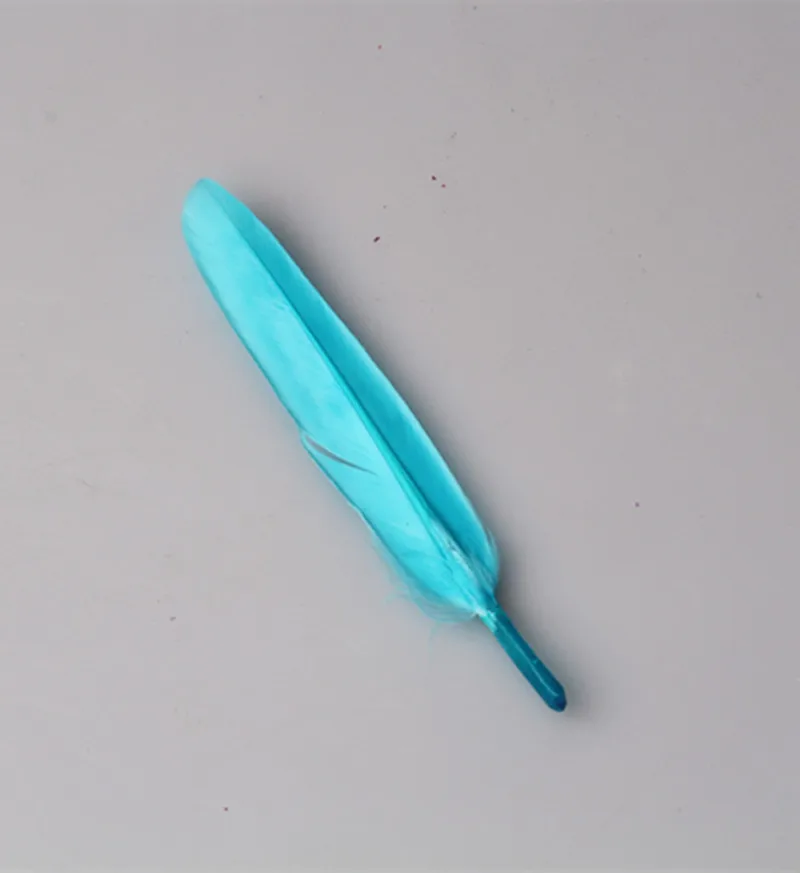 F007 (19)