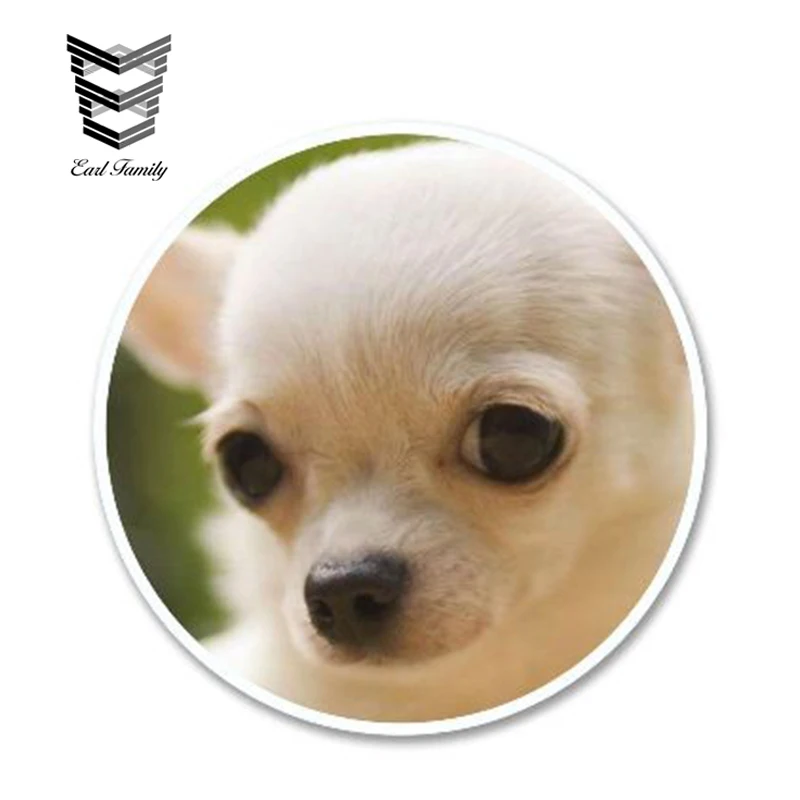 

EARLFAMILY 13cm X 13cm Funny Pretty Chihuahua Dog Vinyl Sticker Car Window Door Bumper Decals Cute Animal Car Stickers