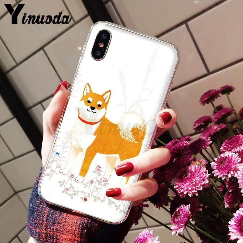 Animal Shiba Inu
