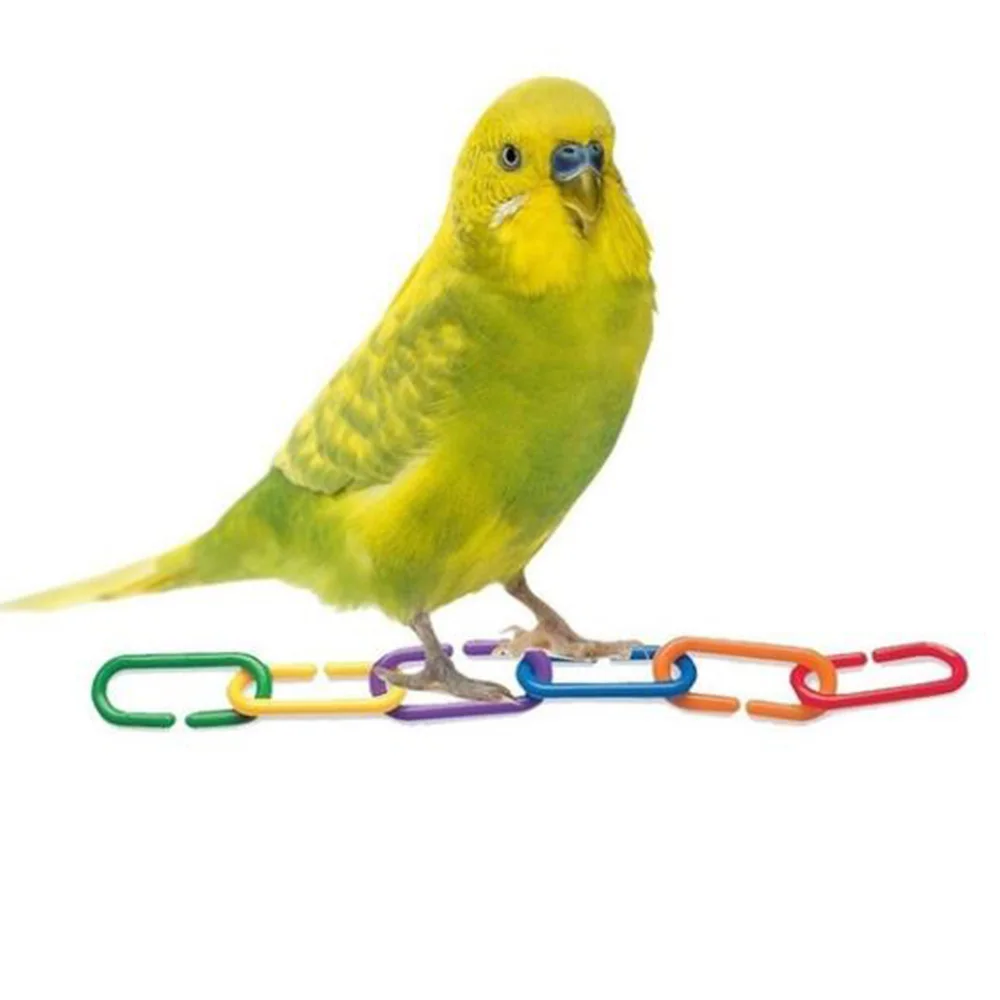 100pcs Plastic Parrot Toys C clips Hooks Chain C links Sugar Glider Rat