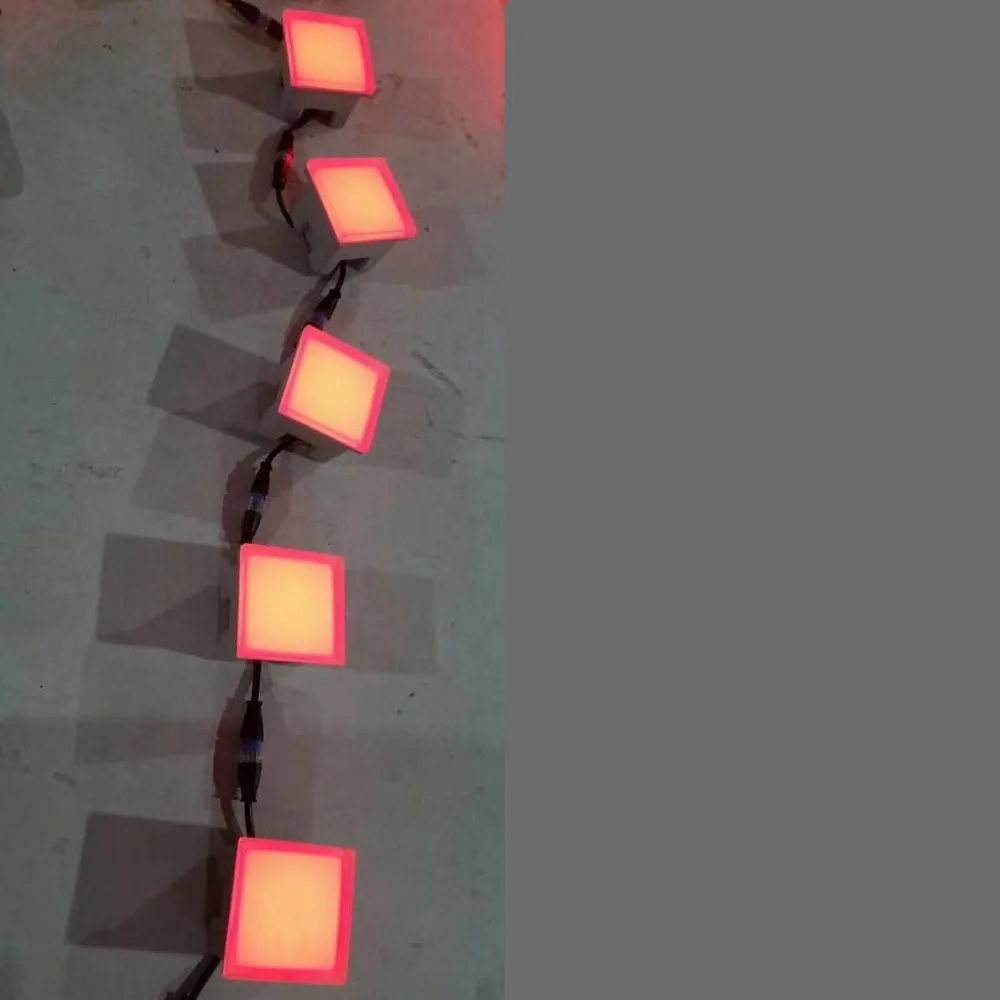 L1