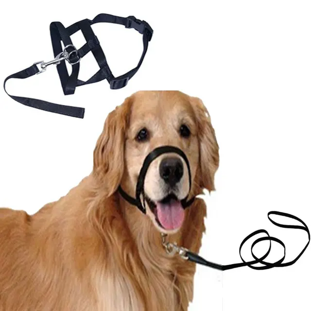 Dog Nylon Adjustable Muzzle with Buckle and Leash Training Dog Muzzle