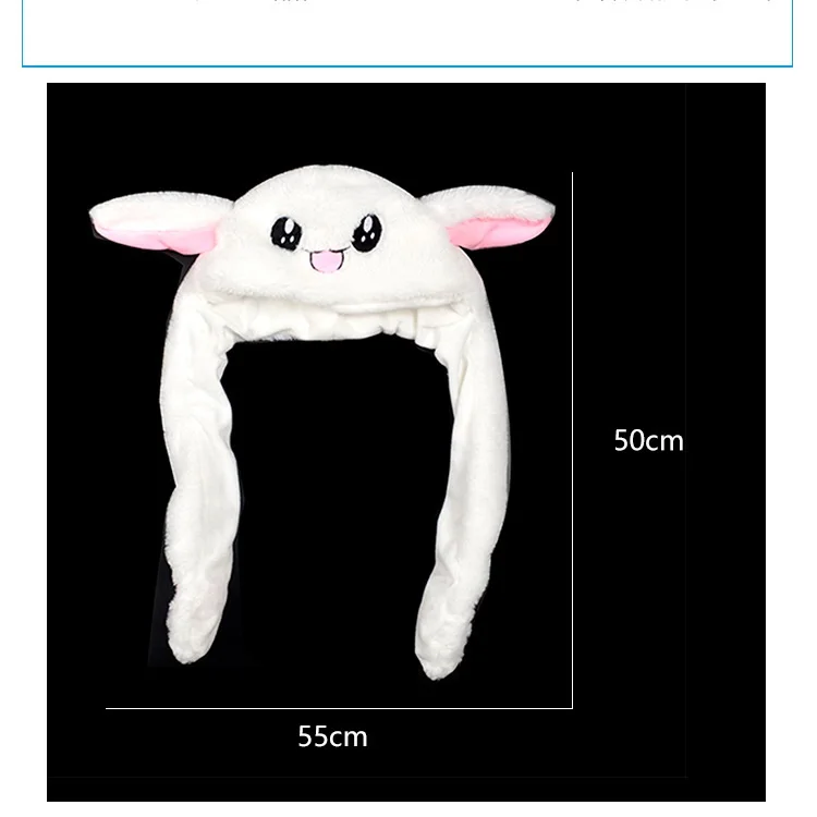 9816382045_481941082