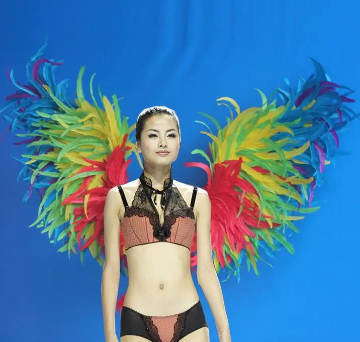 

Custom angel Feather Wings For Model show Stage performance Party props COSPLAY costume EMS Free shipping