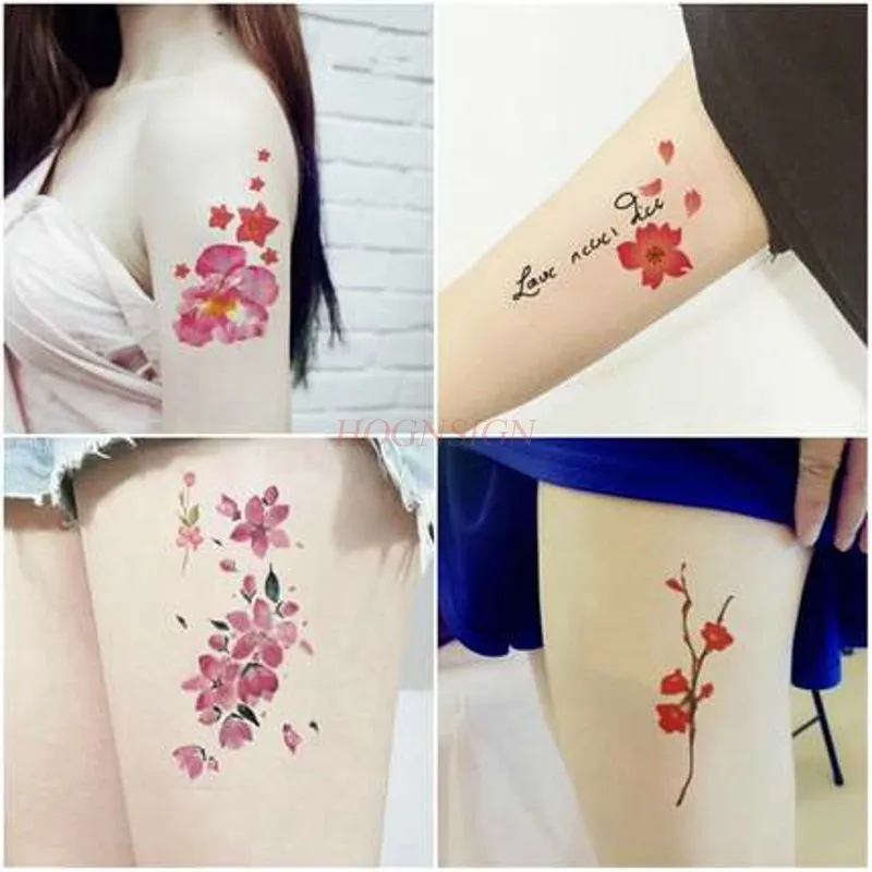 Case dos Desenhos Tatuagem Livros Tatuagens Manuscrito Livro Macaco Social Animal Animados Moda Tatoo Padrão Bordado Desenho Suprimentos Venda 6 Cheap Estêncil p tatuagem