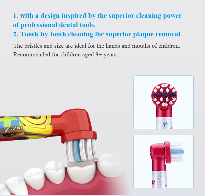 heads for toothbrush oral b