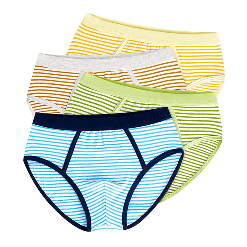 Soft Organic Cotton Kids Underwear 4 Pcs/lot Teenager Boxer Baby Briefs Shorts Panties for 4-14y Children panty Boys Underwear Soft Organic Cotton Kids Underwear 4 Pcs/lot Teenager Boxer Baby Briefs Shorts Panties for 4-14y Children panty Boys Underwear