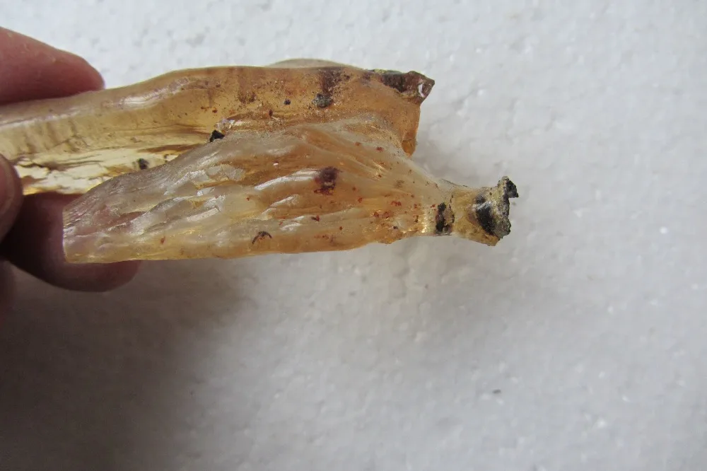 26 0 г янтарного копального насекомого насекомые омолаживающие|insect|insect amber |