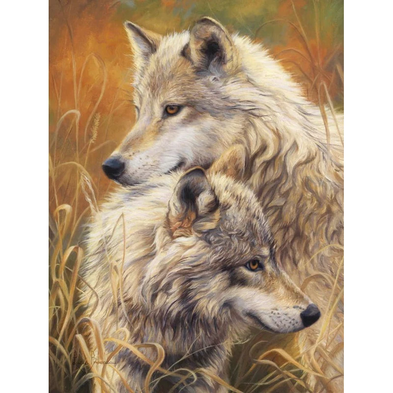 

YIKEE diamond painting Two wolves,5d diamond puzzle,5d diamond painting full drill Y641