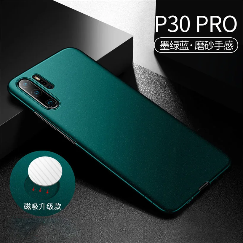 p30 pro (1)