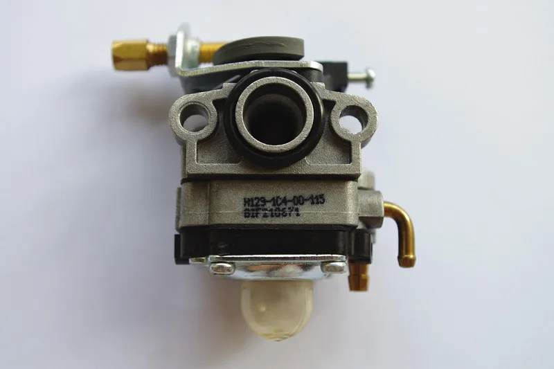 IMGP4916