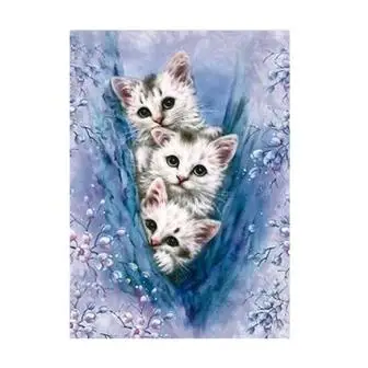 Рукоделие кошка 5D алмазная Вышивка картина животные квадратные узоры стразы на холсте Вышивка крестом искусство домашний декор - Цвет: L 30cm W 40cm