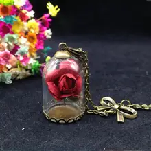 1 компл./лот Маленького принца розы ожерелье стеклянный флакон желаемая бутылка Подвески Роза бантом Террариум ожерелье DIY ювелирных
