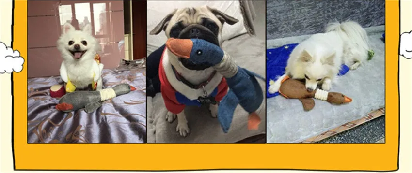 4188490585_994056887