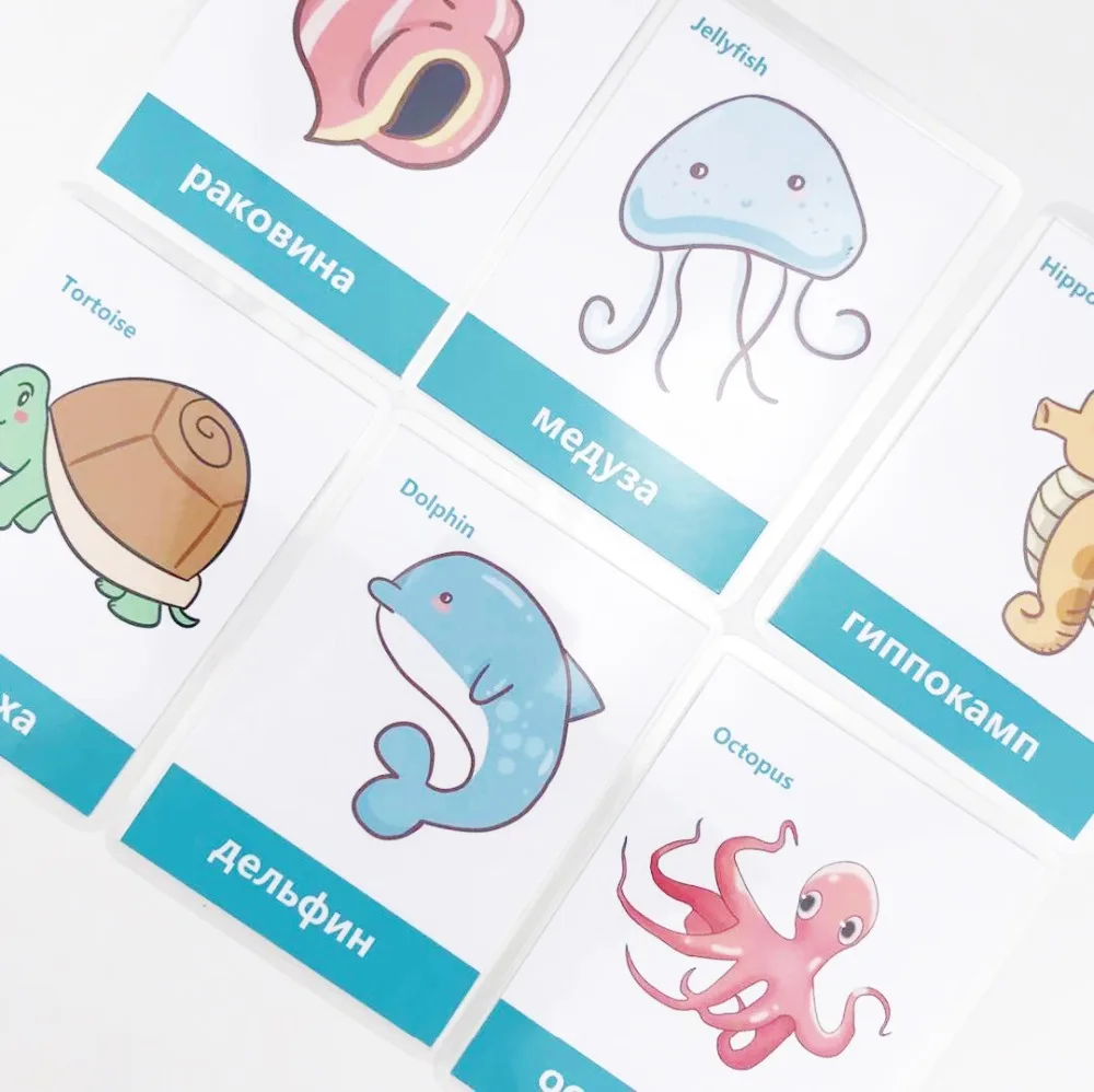 Cartões de Memória Flash para Crianças Sala de Aula Jogos de Memorie Frutas Legumes Aprendizagem Russa & Inglês Montessori Brinquedos Educativos 66 Pçs - Set 39 & Inglês Cartões de Memória Flash para