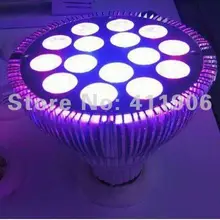 6 шт. Par38 Светодиодная лампа для выращивания растений Bridgelux 15x3 Вт светодиодная лампочка для выращивания растений красного и синего цвета. 3 года гарантии