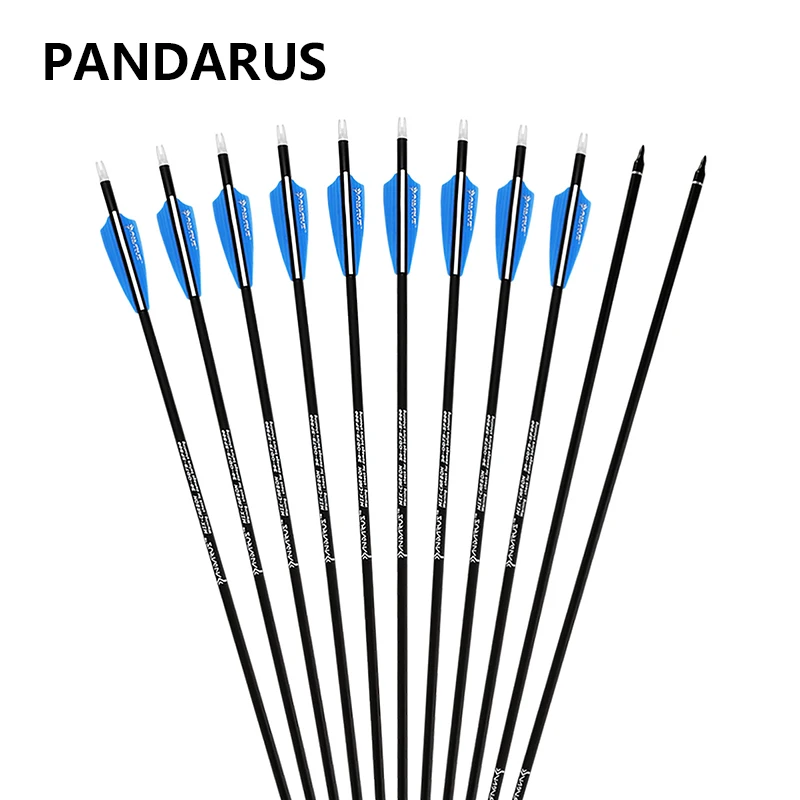 

PANDARUS Archery arrow 28/30/32 Inch Spine 500 Carbon Darts Practice Hunting Arrows Removable for Youth Compound Recurve Target