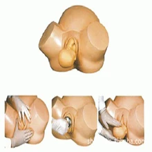 Senior Aids To Delivery Training Model WBW205