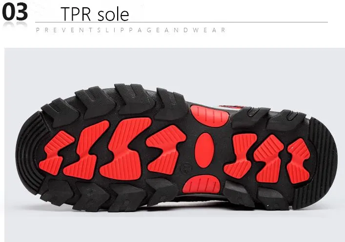 36020190505111152253_