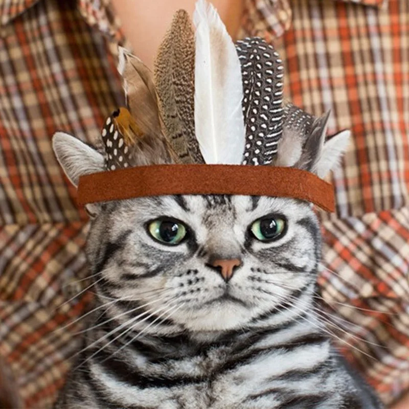 

Indian feather headdress pet cat and dog Hat Tie cat accessories pet supplies