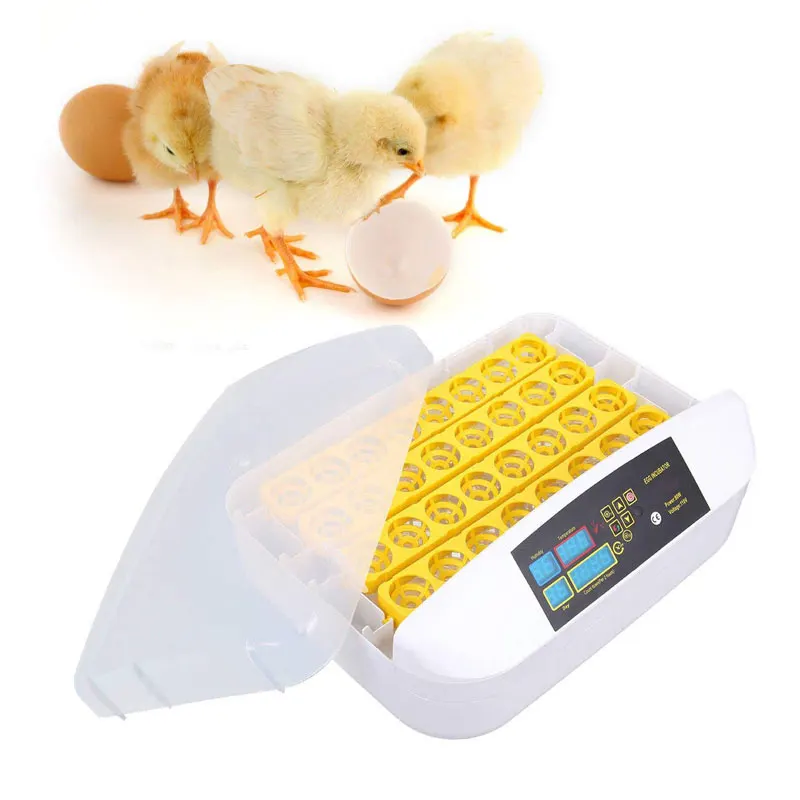 

Chicken Quail Egg Incubator Hatcher Controller Automatic Eggs Hatchery Machine for Duck Goose Turkey Birds Fertile Egg Brooder