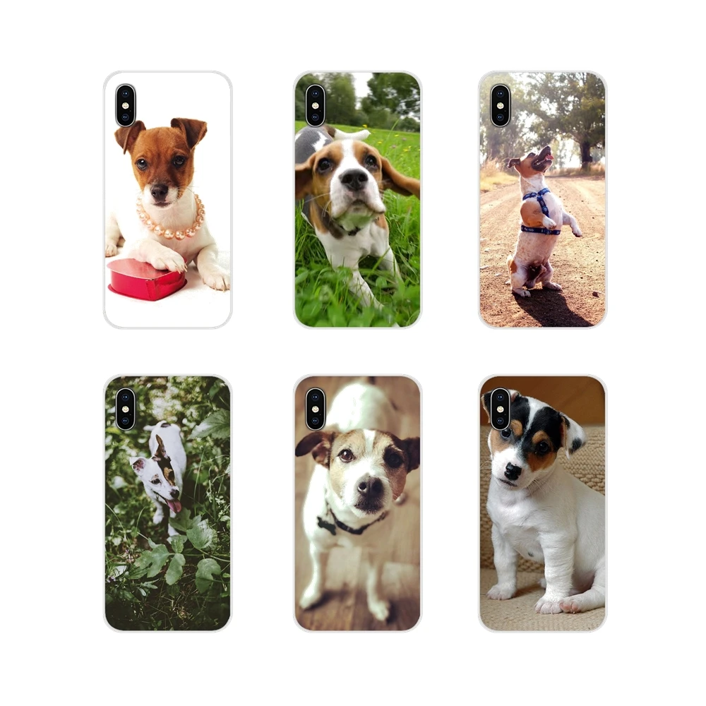 

Jack Russell Terrier Dog Pup Puppy For Huawei P Smart Mate Honor 7A 7C 8C 8X 9 P10 P20 Lite Pro Plus Transparent TPU Cases Cover