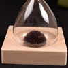 Free ship 1Pcs Awaglass Hand-blown Timer clock Magnet Magnetic Hourglass ampulheta crafts sand clock hourglass timer Christmas 4