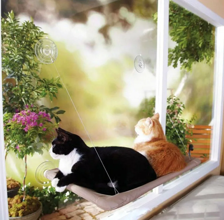 Us 9 65 20 Off Cute Pet Hanging Beds Bearing 20kg Cat Sunny Seat Window Mount Pet Cat Hammock Comfortable Cat Pet Bed In Cat Beds Mats From Home