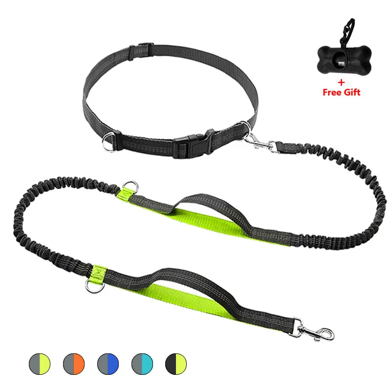 dual retractable dog leash for large dogs